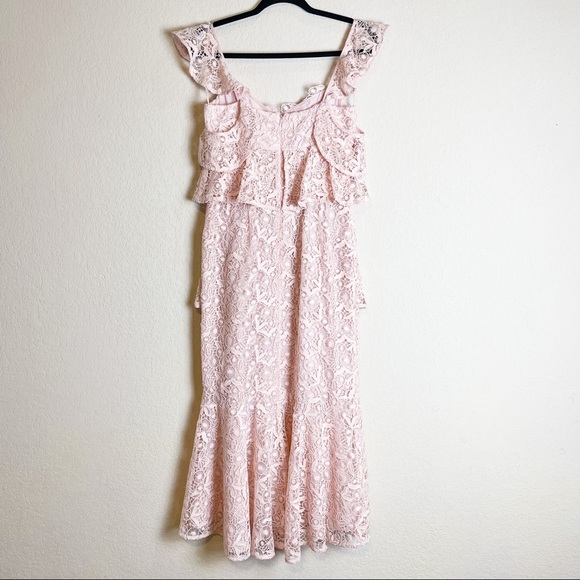 Amur Hayden Lace Midi Dress Blush Pink Size 2 NWT - Picture 7 of 11